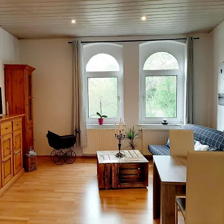 Rosenbluete Am Stadtpark Wittenberg