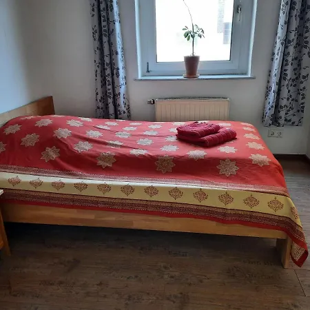 Rosenbluete Am Stadtpark