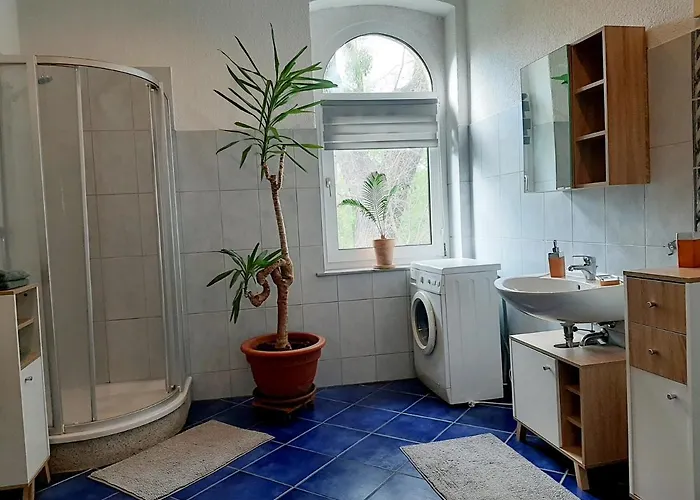 Rosenblüte Am Stadtpark