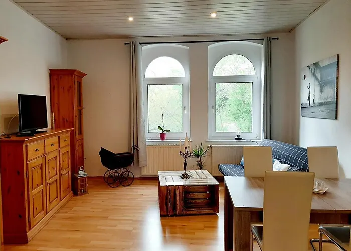 Rosenblüte Am Stadtpark Wittenberg