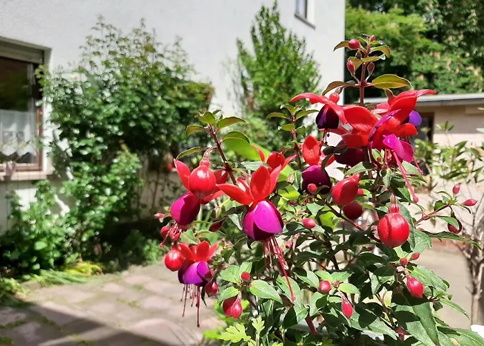 Apartment Rosenblüte Am Stadtpark