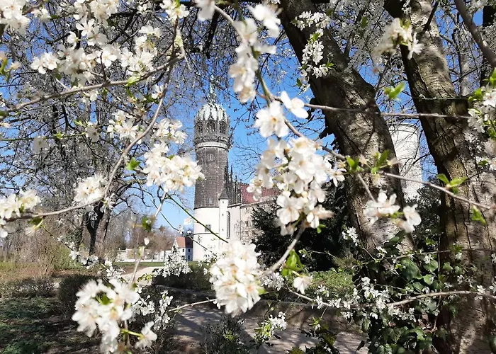 Rosenbluete Am Stadtpark Apartment